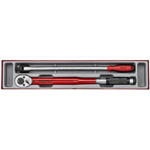 Teng Tools serie dynamometrisch TTX2493