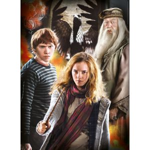 Harry Potter Puzzel (3x1000 stuks) - Voor Volwassenen