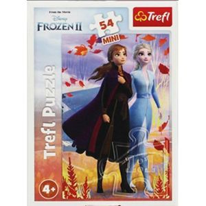 Trefl puzzel 54 mini W wereld Anna en Elsa 2