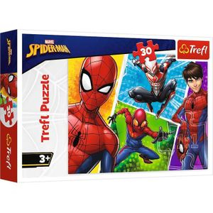 Puzzel Spiderman en Miguel (30 stukjes)