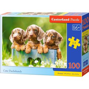 Castorland Cute Dachshunds - 100pcs