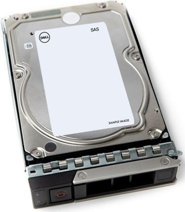 Dell 161-BCFT interne harde schijf 4 TB 7200 RPM 3.5 inch SAS