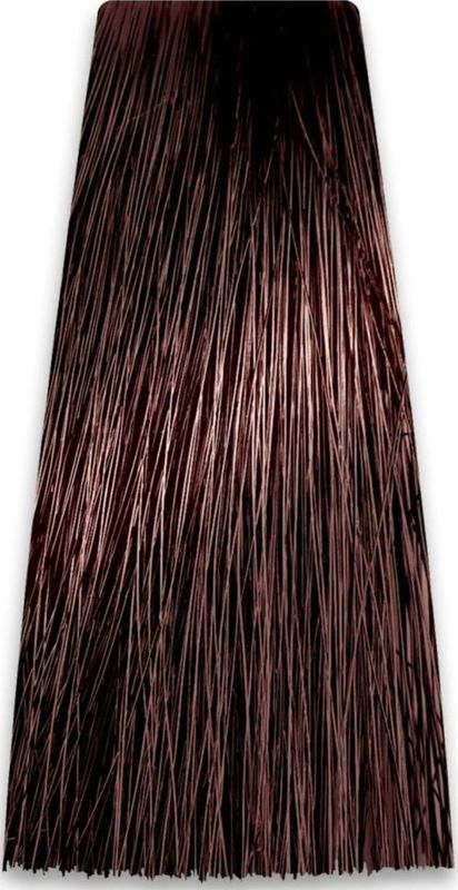 Chantal Prosalon Professional Intensis kleur Art Profesjonalna Farba voor haar nr 5.30 trufla 100g