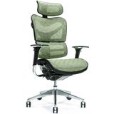 BEMONDI Ergonomische bureaustoel ERGO 700 groen