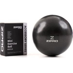 Zipro bal fitness Miniball 20 cm