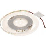MW Lighting rol LED tape LED LED120-12V/9.6W-WW/5M - 3000&nbsp|K