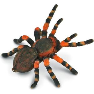 Collecta Insecten: Mexicaanse Roodknievogelspin 8 X 8,7 Cm