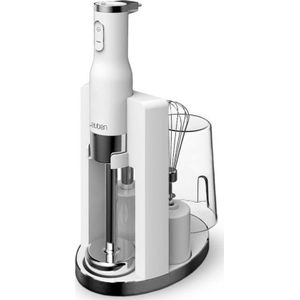 lauben Blender Stick Blender 800WT