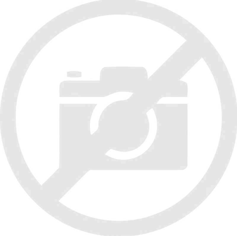 OMEGA MOUSE muis BLUETOOTH RECHARGABLE USB-C draadloos draadloos ŁADOWALNA USB-C 2.4G 1600DPI OFFICE zwart [46067]