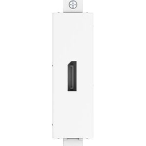 Vision Techconnect DisplayPort Module