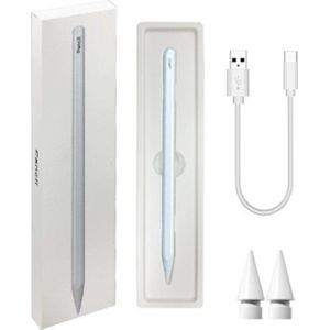 ECOBOX RYSIK BLUETOOTH STYLUS PEN voor IPAD