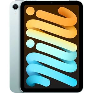 Apple iPad mini Wi-Fi 256GB blauw