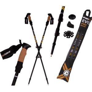 Kije Nordic walking w pokrowcu EVO Enero Pro zwart mat