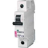 Eti-Polam Overcurrent switch ETIMAT10 1P C 16A 10kA AC - 002131716