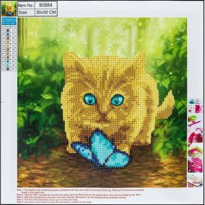Centrum diamant mozaïek 5D - Cat&vlinder 30x30 80884