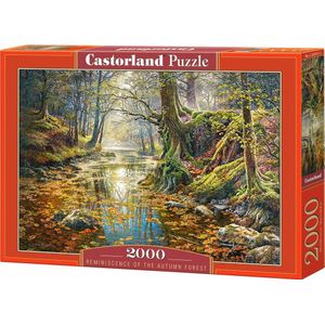 Castorland Legpuzzel Reminiscence Of The Forest - 2000 Stukjes
