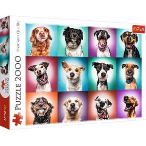 Trefl - Puzzles -  inch2000 inch - Funny dog portraits II