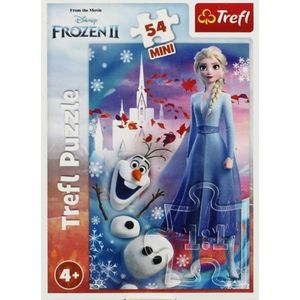 Trefl puzzel 54 mini W wereld Anna en Elsa 4