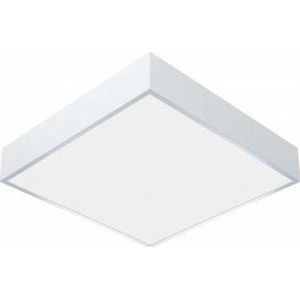 Lena Lighting GAMMA Q LED BASIC wit plafond licht PLAFOND LED 14W NW 4000K 1500LM IP54 PC