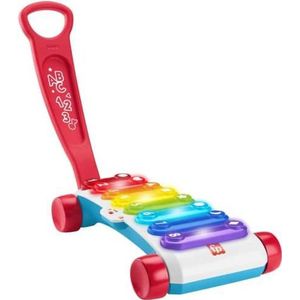 Fisher Price Leerplezier HJK41 trekspeelgoed