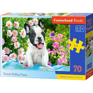 Castorland French Bulldog Puppy - 70pcs