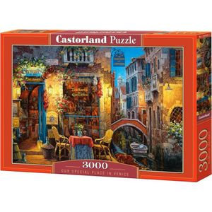 Our Special Place in Venice Puzzel (3000 stukjes)