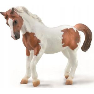 Collecta speelfiguur paard Chincoteague 13,5 cm ABS bruin/wit