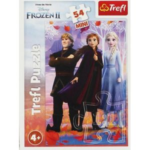 Trefl puzzel 54 mini W wereld Anna en Elsa 3