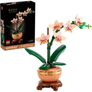 LEGO Botanicals kleine orchidea 6 stuks (10343)