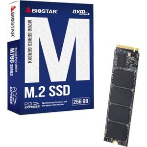 Biostar SSD M760 256GB