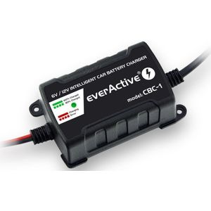 everActive auto batterij CHARGER 6V/ 12V