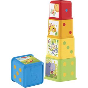 Fisher Price Stapel & Ontdek Blokken