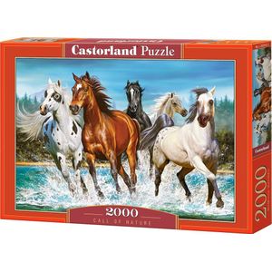 Castorland Legpuzzel Call Of Nature - 2000 Stukjes