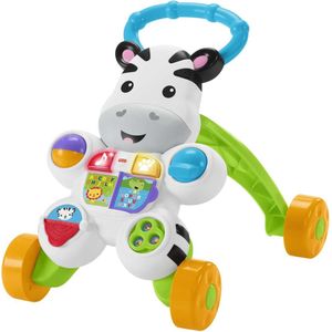 Fisher Price Learn with Me Zebra Walker