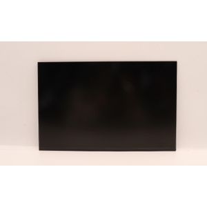 Lenovo DISPLAY Coretronic 14 WUXGA AG