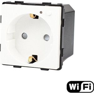 Tuya Kištukinis lizdas Feelspot, WiFi