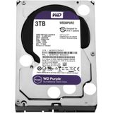 Western Digital Purple 3.5 inch 3000 GB SATA III HDD