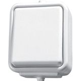 Schneider Electric Single-pole connector wit - WNT100C01