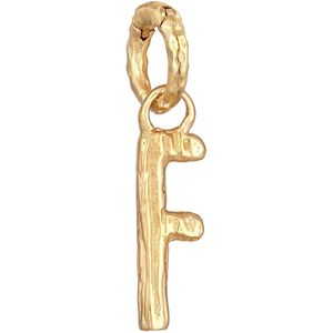 Elli - Buchstabe F Organic Look 925 Silber vergoldet Charms & Kettenanhänger 1 ct Damen (39.99 € / 1 ct)