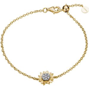 Lyomi - Armband 585/- Gold Diamant 0,10ct. Armbänder & Armreife 1 ct Damen (1348.99 € / 1 ct)