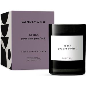 Candly&Co - No. 8 To me, you are perfect. Kerzen 250 g (200 € / 1 kg)