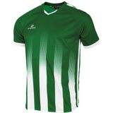 Vivid Shirt Groen-Wit 3XL