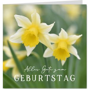 Geburtstagskarte Naturfotografie Narzissen | Geburtstagskarten
