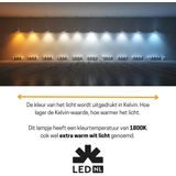 LED Filament Lamp - A60 - Goud Glas - Dimbaar - E27 Fitting - 1800 K - 136 Lumen