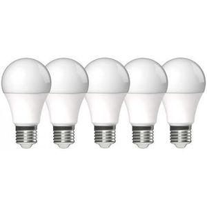 LED lampen met grote E27 fitting - Warm wit licht - 8W/60W - 5PACK