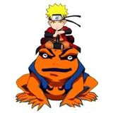 Naruto Shippuden Light Naruto and Gamakishi 20 cm