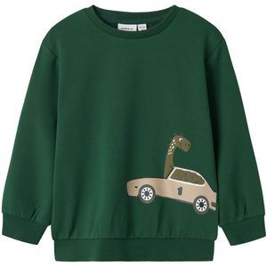 Name It Sweatshirt - NmmBarlas - Eden - Name It - 6 jaar (116) - Sweatshirt