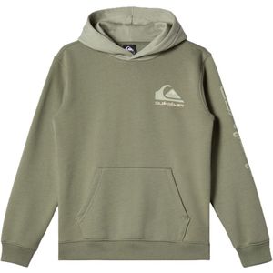 Quiksilver Hoodie - Omni Logo - Dusty Groen - Quiksilver - 10 jaar (140) - Hoodie