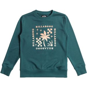 Billabong Sweatshirt - Fundering - Groen - Billabong - 14 jaar (164) - Sweatshirt