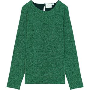 The New Blouse - TnJidalou - Helder Green Glitter - The New - 3-4 jaar (98-104) - Blouse